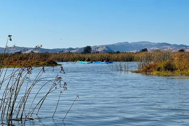 Napa Valley Self-Guided Kayak Tour - Image 5