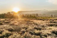 Jackson Grand Teton Wildlife Safari thumbnail 6