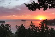 Lopez Island Canopy Climb at Sunset 4 hr thumbnail 2