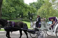 New York City Horse Carriage Tour in Central Park thumbnail 5