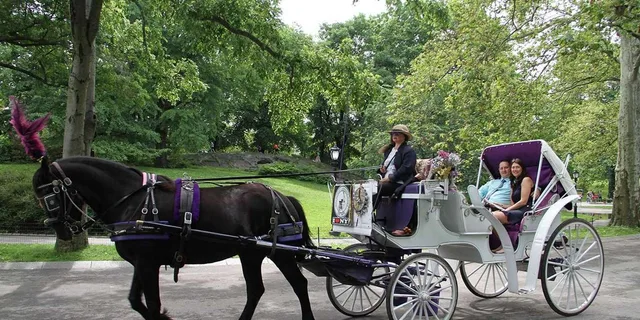 New York City Horse Carriage Tour in Central Park - Image 5