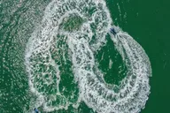 Hilton Head Jet Ski Creek Run Tour 2 hr thumbnail 6