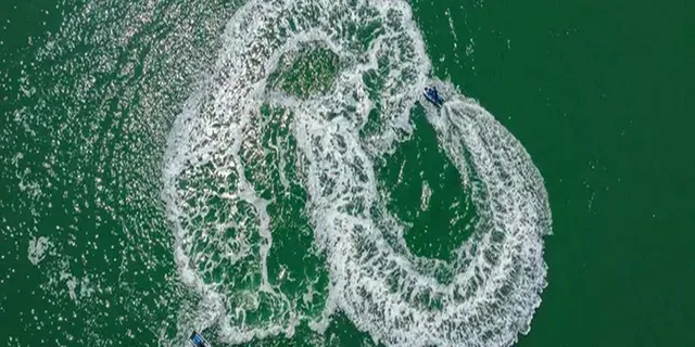 Hilton Head Jet Ski Creek Run Tour 2 hr - Image 6