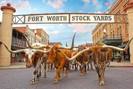 Fort Worth Highlights Tour thumbnail 2