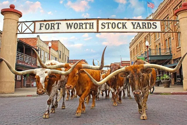Fort Worth Highlights Tour - Image 2