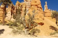 Las Vegas Zion and Bryce Canyon Day Tour thumbnail 3