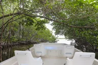 Everglades Mangrove Wilderness Boat Tour thumbnail 1