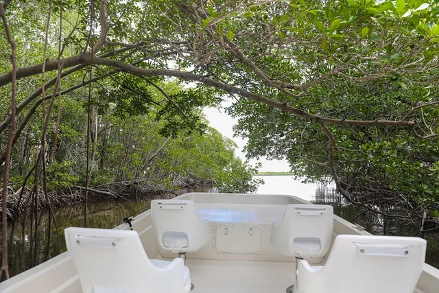 Everglades Mangrove Wilderness Boat Tour - Image 1