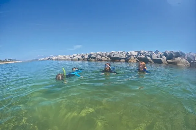Panama City Snorkeling Tour - Image 3