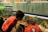 Houston Butterfly Center Ticket thumbnail 1