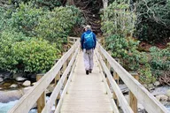 Great Smoky Mountains Hiking Tour thumbnail 1