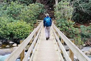 Great Smoky Mountains Hiking Tour