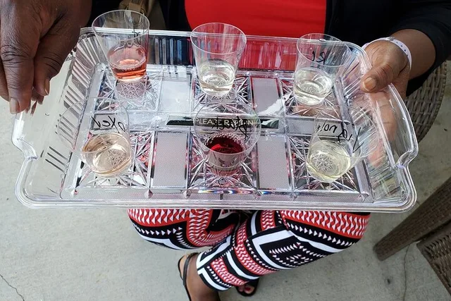 Niagara Wine Tour - Image 6