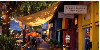 Miami Little Havana Walking Tour with Drinks 2 hr