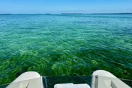 Key West Mini Catamaran Eco Tour 2 hr thumbnail 6