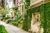 Savannah Land & Sea Combo: Trolley Tour with Riverboat Cruise thumbnail 1