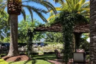 San Francisco Napa and Sonoma Valley Wine Tour thumbnail 2