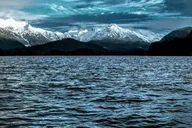 Sitka Land & Sea Wildlife Tour with Meal thumbnail 5