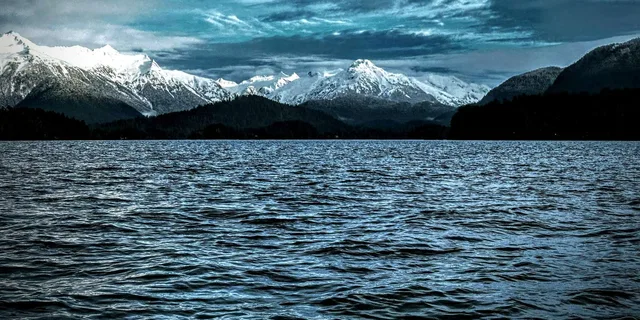 Sitka Land & Sea Wildlife Tour with Meal - Image 5