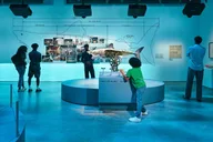 Los Angeles Academy Museum of Motion Pictures thumbnail 5