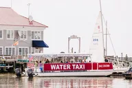 Charleston Water Taxi Cruise with Dolphin Sighting thumbnail 6