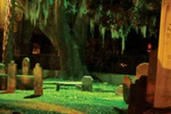Charleston Dark Side Walking Tour 1.5 hr thumbnail 2