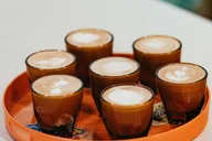 Seattle Coffee Tour in Capitol Hill thumbnail 2