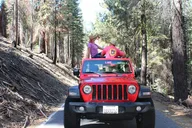 Yosemite Jeep 4x4 Tour with Hotel Pickup thumbnail 2