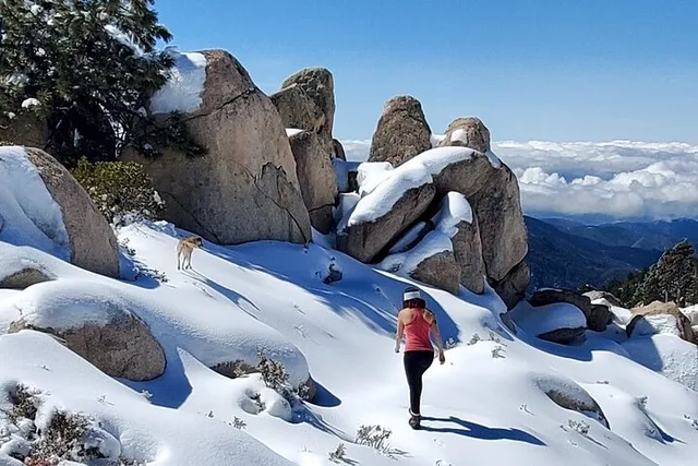 Big Bear Lake Snowshoe Tour with Hot Chocolate - Image 3