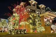 New York City Dyker Heights Christmas Lights Tour thumbnail 1
