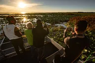 Orlando Airboat Tour at Sunset 1 hr thumbnail 4