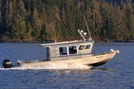 Sitka Whale Watching and Wildlife Tour thumbnail 4