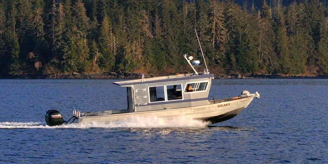 Sitka Whale Watching and Wildlife Tour - Image 4
