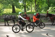 New York City E-Bike Rental in Central Park thumbnail 2