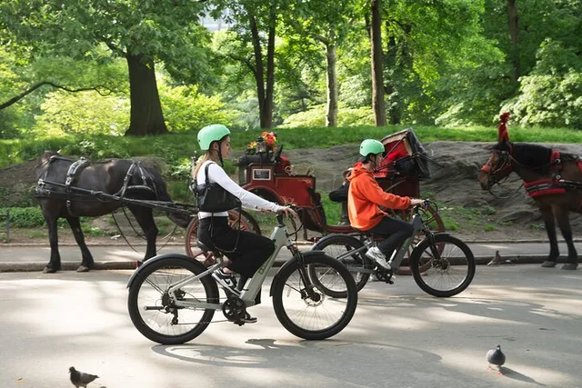 New York City E-Bike Rental in Central Park - Image 2