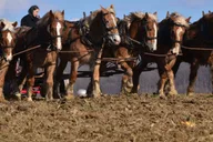 Lancaster Amish Country Farm and House Tour thumbnail 5