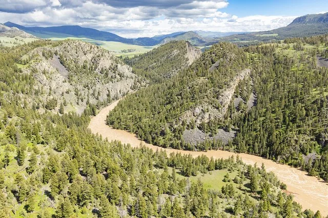 Yellowstone Naturalist Day Hike - Image 2