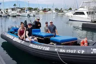 Big Island Marine Wildlife Excursion thumbnail 1
