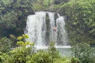 Maui Rainforest Adventure to Hana thumbnail 5