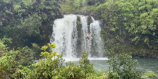 Maui Rainforest Adventure to Hana - Image 5