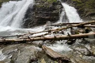 Anchorage Valley and Forest Hike with Naturalist Guide thumbnail 6