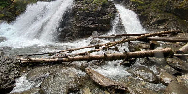 Anchorage Valley and Forest Hike with Naturalist Guide - Image 6