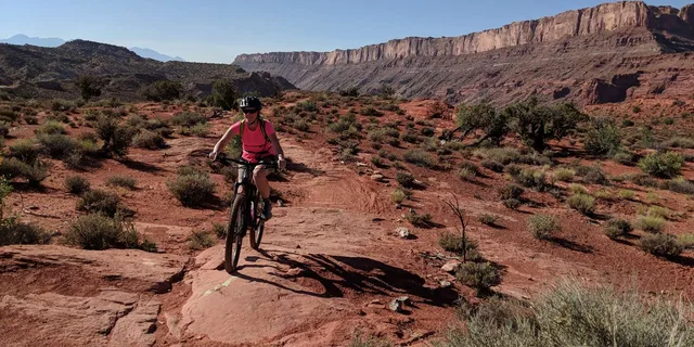 Moab Mountain Bike Tour Half Day - Image 5