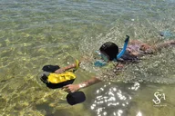 Princeville Snorkeling Shore Excursion thumbnail 3