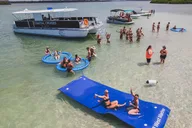 St. Pete Sandbar Party Cruise 4 hr thumbnail 2