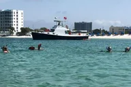 Destin Snorkeling and Shelling Excursion thumbnail 1