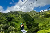 Kauai Zipline Tour 2 hr thumbnail 3