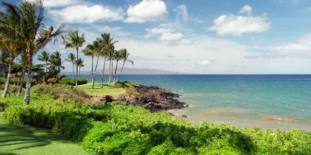 Hawaii Island Circle Tour - Image 3