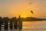 Daytona Beach Sunset Cruise with Champagne thumbnail 1