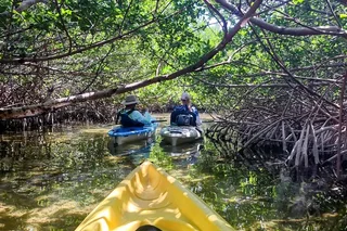 Geiger Key Mangrove Eco-Tour Adventure